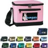 deluxe 6 pack cooler