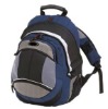 deluxe two compartment soprt backpack