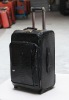 designer travel luggage fashion bag 2012 luggage new