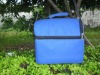 disposable cooler bag