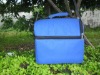 disposable cooler bag