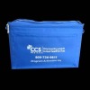 disposable cooler bag for frozen food