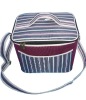 disposable cooler bag with zippers