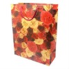 durable gift bags,shopping paper bags,promotional paper bags KG042