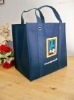 eco-friendly non-woven promotional shopping bag