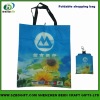 eco-friendly polyester bag for wholesale