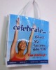 eco-friendly pp non woven promotion bag