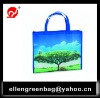 eco-friendly pp non woven promotion bag