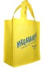 eco-friendly shopping bag