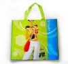 eco-friendly shopping bags