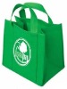 eco green bag