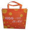 eco nonwoven promotional bag