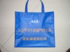 eco pp non woven bag