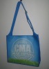 eco pp non-woven shopping bag