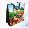 eco pp woven promotional bag