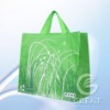 eco pp woven shopping bag