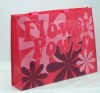 eco promotional non woven bag
