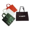 ecological shopping bag