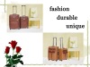 eminent and elegent design travel trolley luggage sets