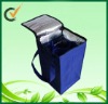 environmental insulated lunch bag