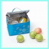 environmentally friendly cooler bag (DYJWCLB-011)