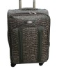 eva luggage