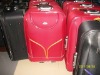 eva luggage