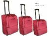 eva luggage