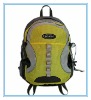 fASHIONAL Traveling  Laptop Backpack