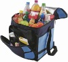 family size picnic cooler bag
