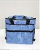 family size picnic cooler bag