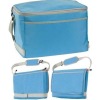 family size picnic cooler bag