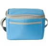 family size picnic cooler bag