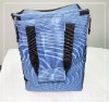 family size picnic cooler bag