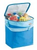 family size picnic cooler bag