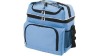 family size picnic cooler bag