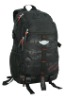 fancy backpack