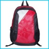 fancy colorful laptop backpack (DYJWBP-025)