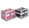 fashion aluminum cosmetic case