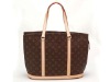 fashion bag for ladies/2011 Fashion canvas bag