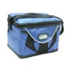 fashion bag in box cooler