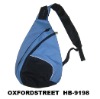 fashion bag; leisure bag; backpack