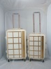 fashion (best) trolley luggage