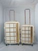 fashion (best) trolley luggage
