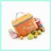 fashion cans cooler bag (DYJWCLB-012)