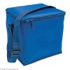 fashion cooler bag