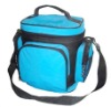 fashion cooler bag