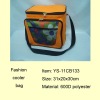 fashion cooler bag