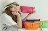 fashion cosmetic bag