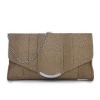 fashion evening bag